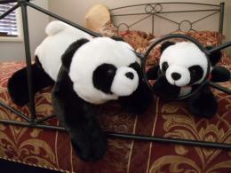 Playfulpandas