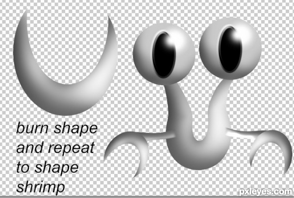 Creation of Reading for Shrimps: Step 5