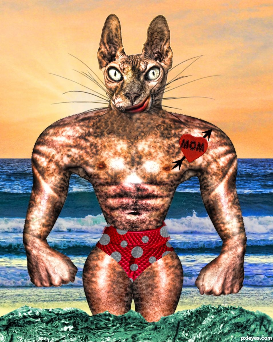 Creation of Smirky Beach Kitty: Final Result
