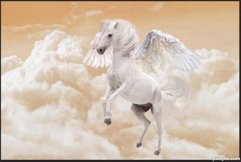 Creation of Magical Pegasus: Step 5