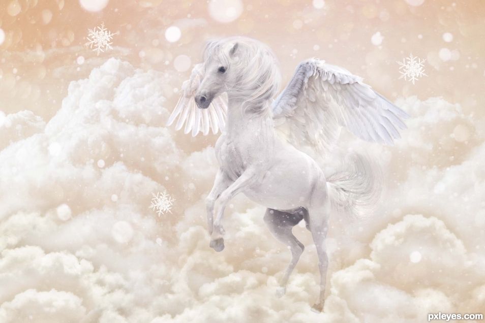 Creation of Magical Pegasus: Step 7