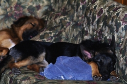 Spoiled