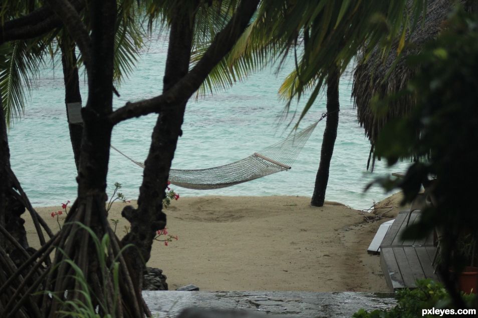 Chilled Out - Tahitian Hammock