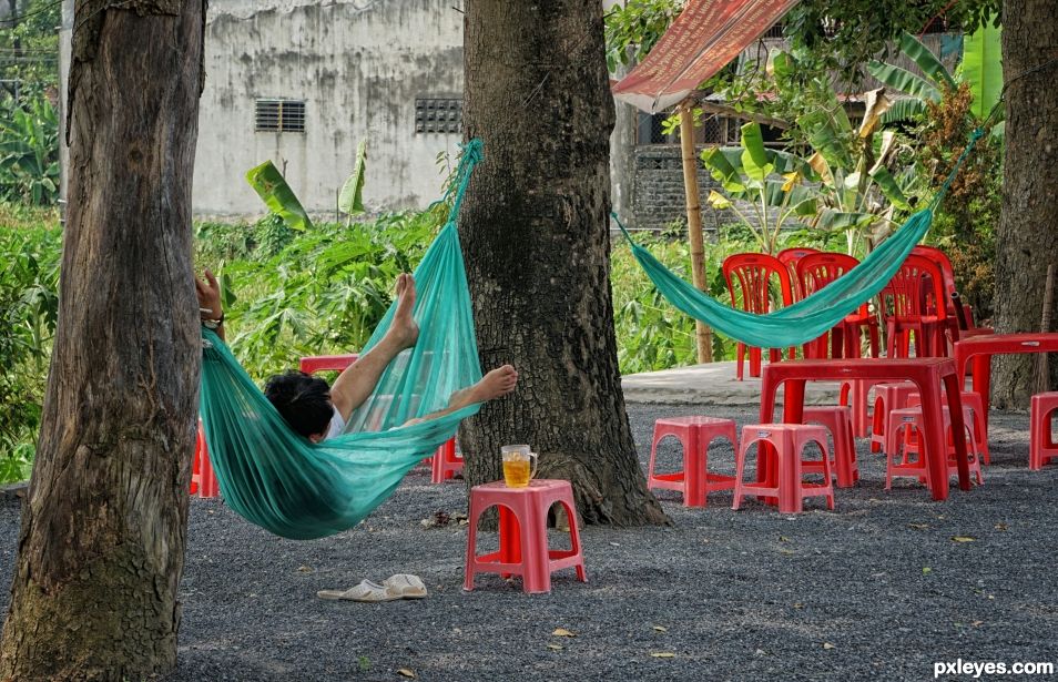 A Cold Beer and a Warm Hammock