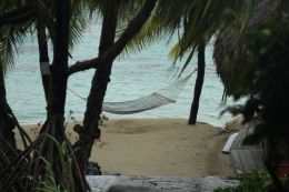 Chilled Out - Tahitian Hammock