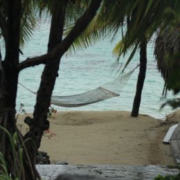 Chilled Out - Tahitian Hammock Picture