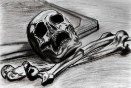 Skull Picture