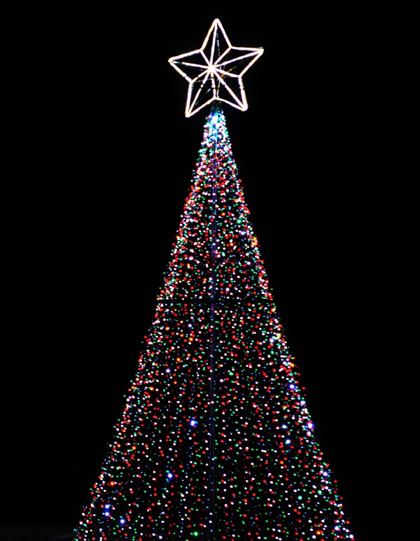 christmas trees photography contest 12918 pictures page 1 christmas trees photography contest 12918 pictures page 1
