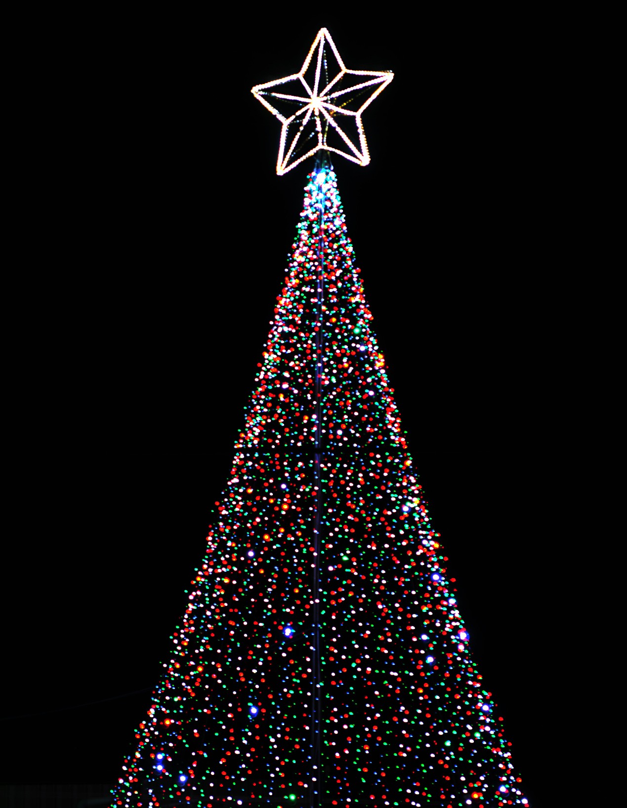christmas trees photography contest 12918 pictures page christmas trees photography contest 12918 pictures page