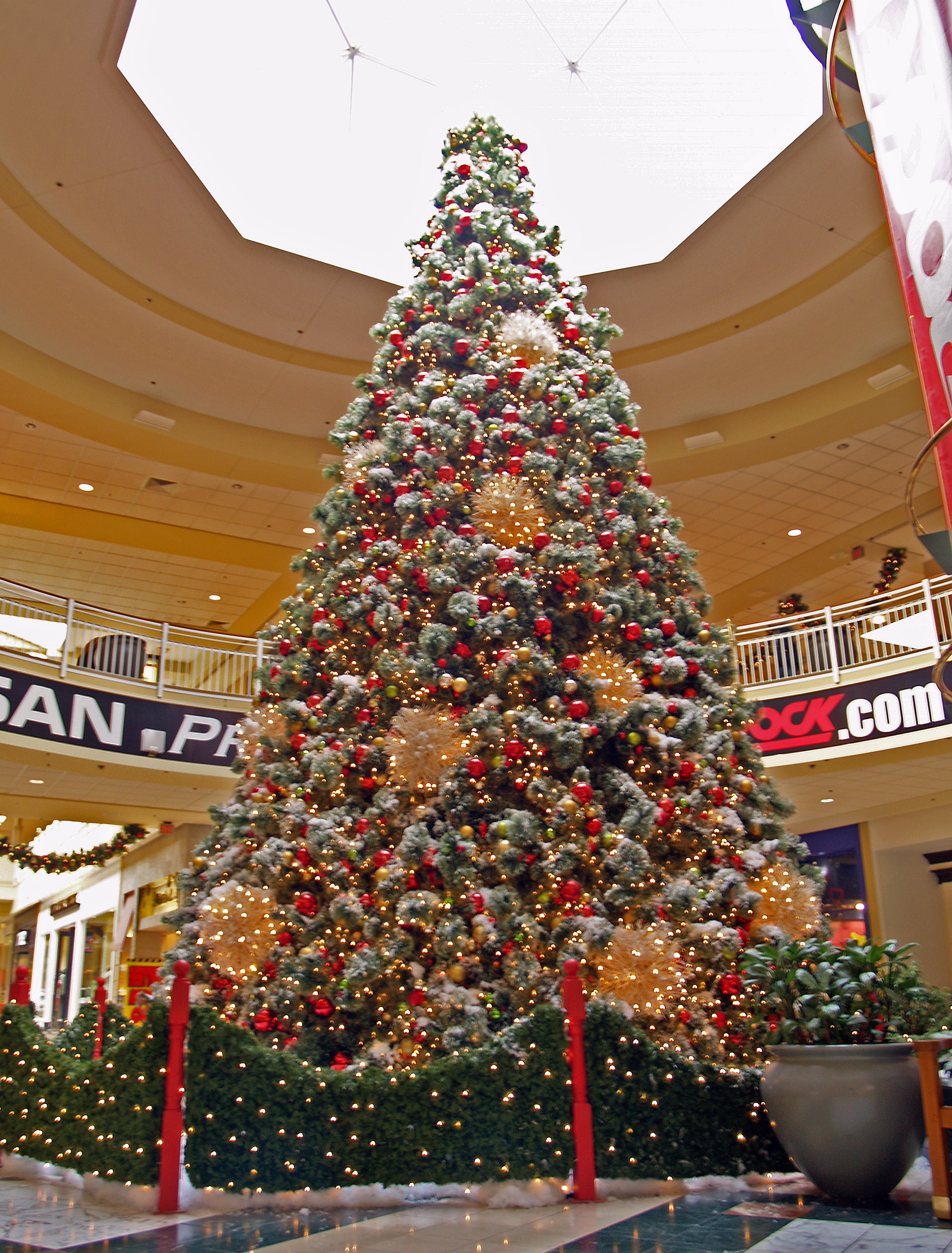 a mall tree picture by unclejimmy for christmas trees a mall tree picture by unclejimmy for christmas trees