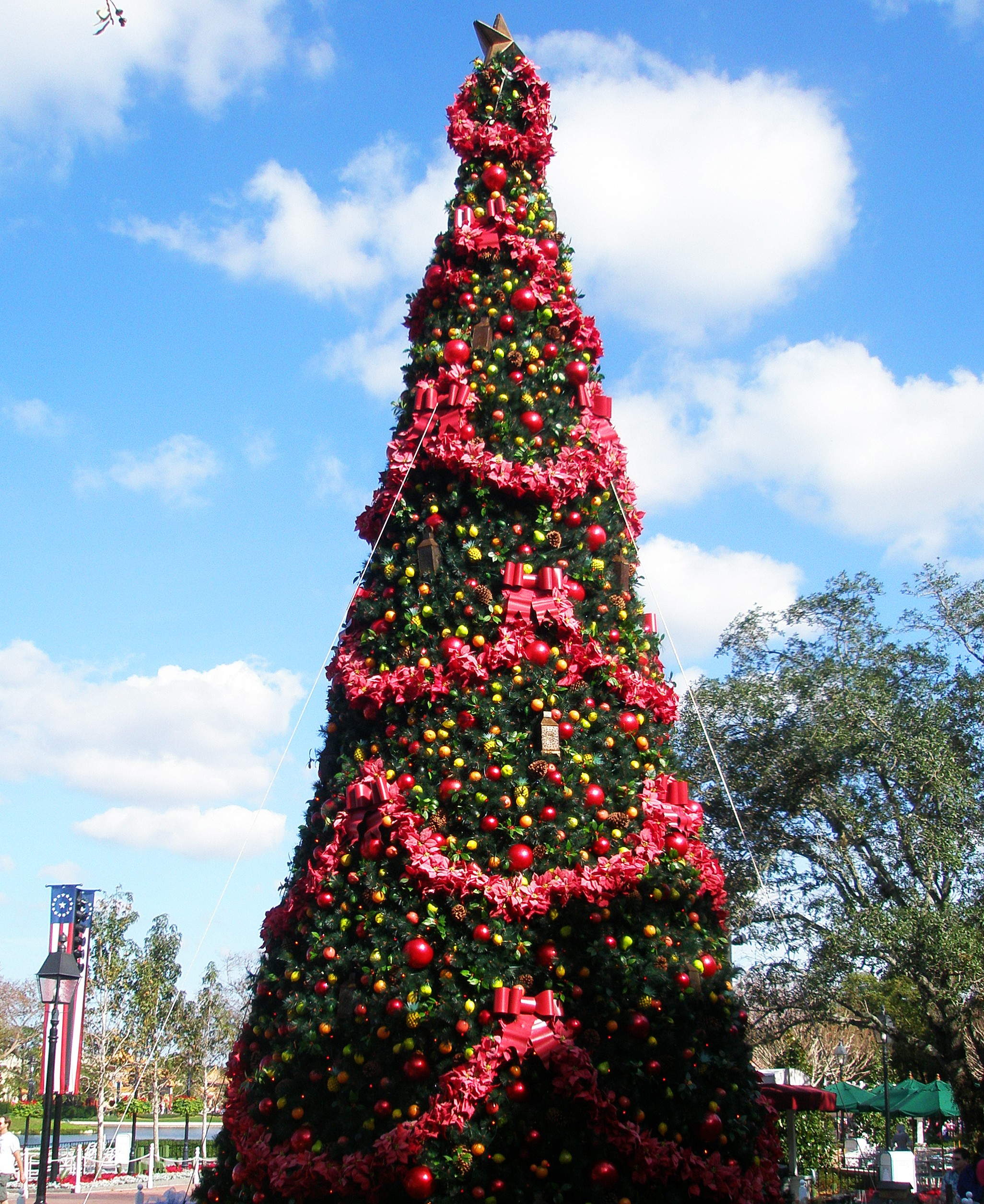 big christmas tree picture by ory for christmas trees big christmas tree picture by ory for christmas trees