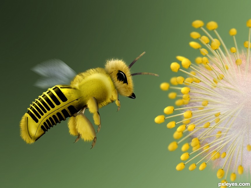 Bumblebee photoshop picture)