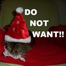 christmas dislike photography contest