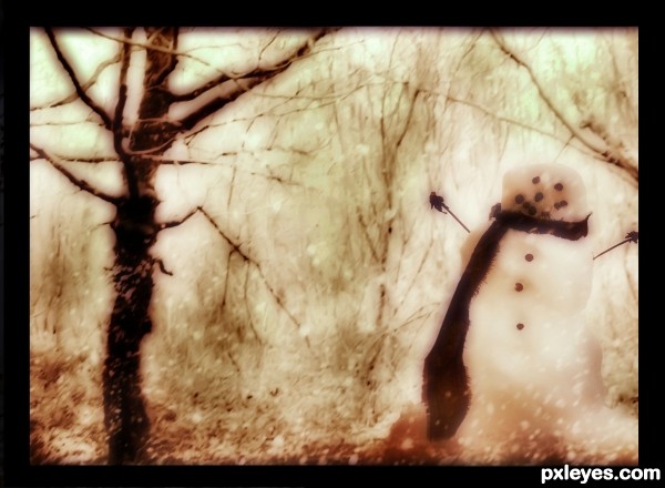 A Snowmans Dream