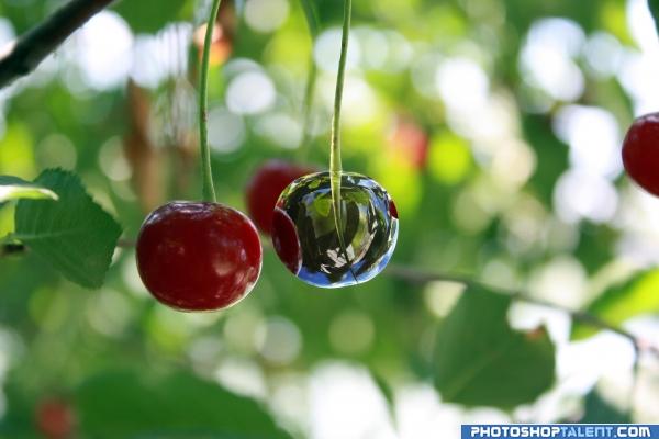 Chrome cherry