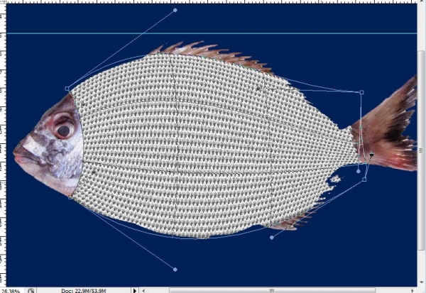 Creation of Under the sea: Step 3