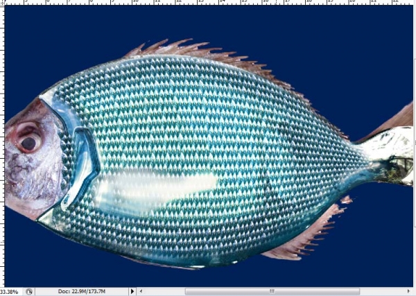 Creation of Under the sea: Step 5