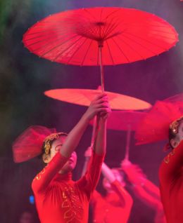 Parasols