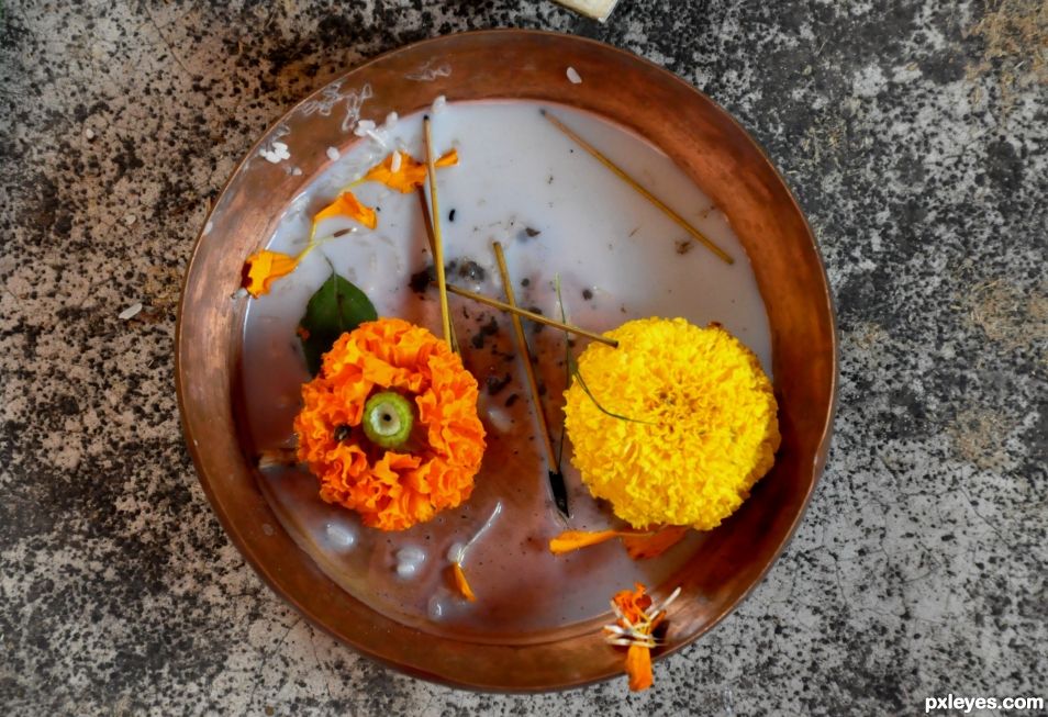 Flowers in a Pot