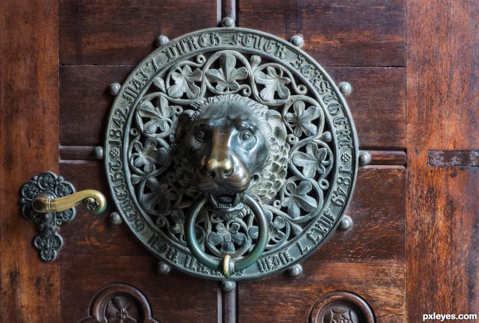 Door knocker