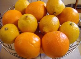 Bowl of Fruits