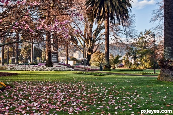 Anzac Park