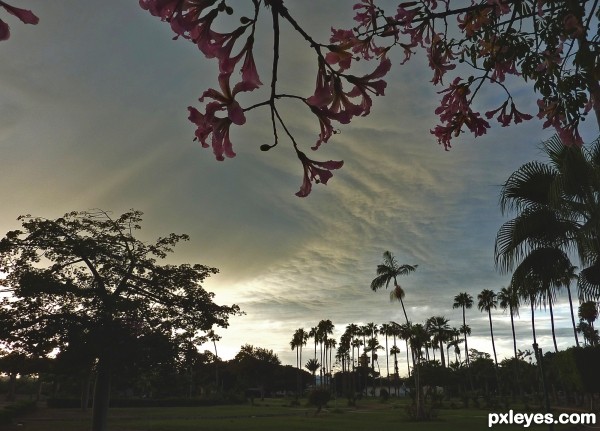 City park at the sunset