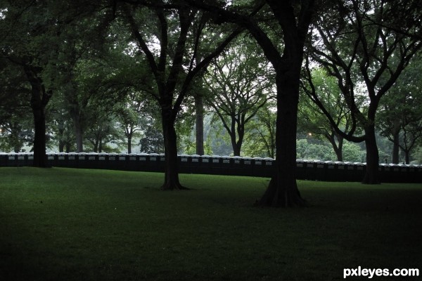 porta johns in Central Park