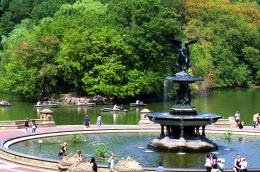 CentralPark