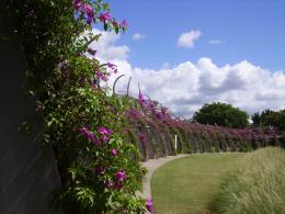 brisbanesouthbankpark