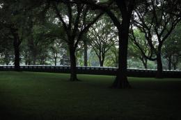 portajohnsinCentralPark
