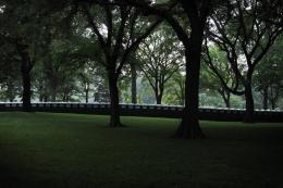 porta johns in Central Park