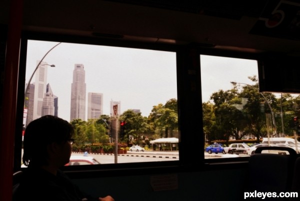 City Bus View