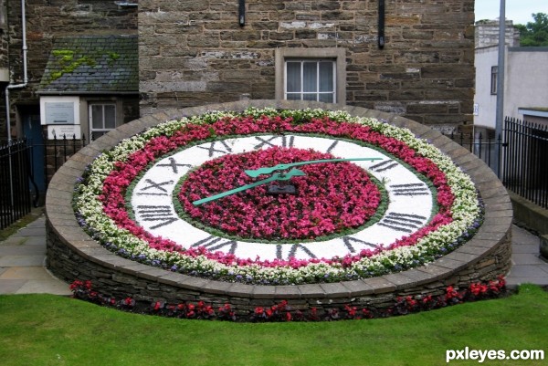 Floral Clock