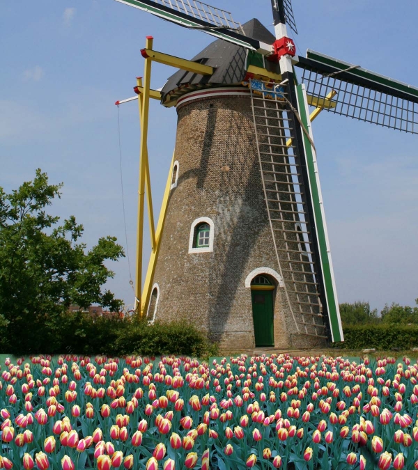 Creation of Holland: Step 1