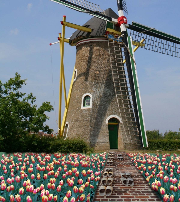 Creation of Holland: Step 3