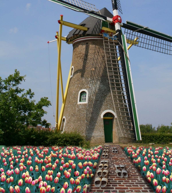 Creation of Holland: Step 4