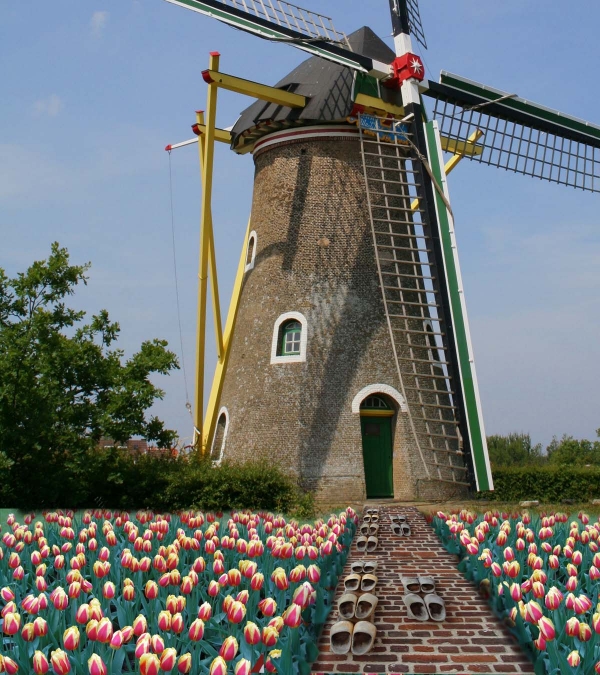 Creation of Holland: Step 5