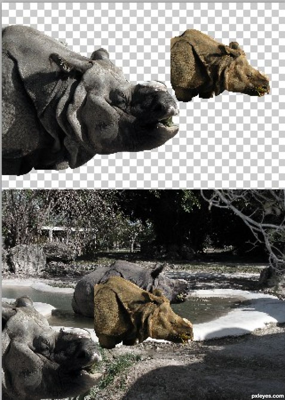 Creation of Rhino Triplets: Step 6