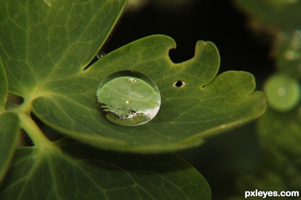 The Single Waterdroplet