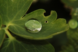 The Single Waterdroplet