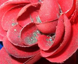 The Fabric Rose in Dust