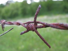 barbed wire