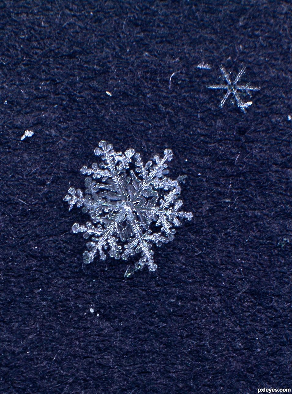 A Single Snowflake