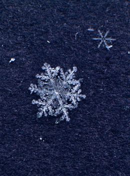 A Single Snowflake