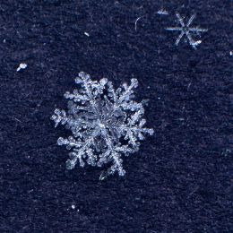 ASingleSnowflake