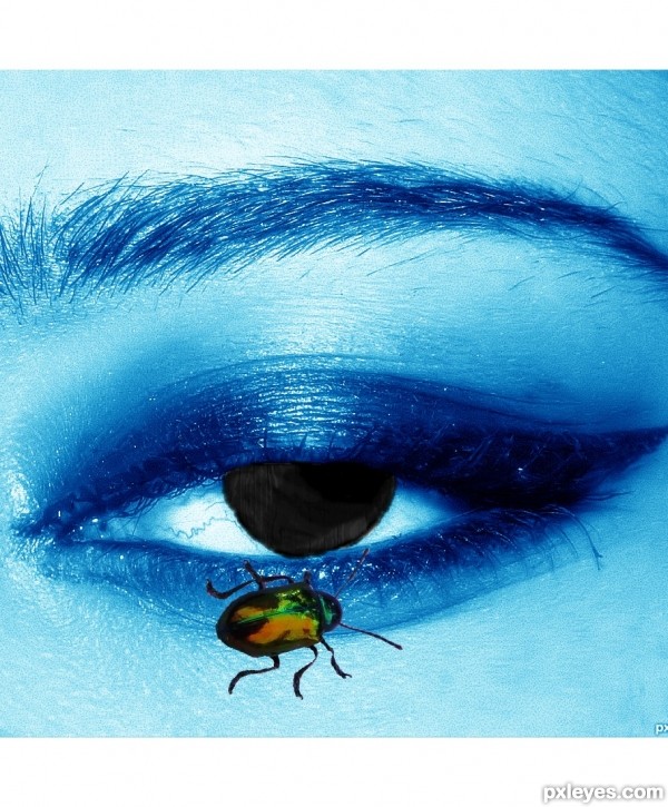 Creation of eye see under the sea: Step 1