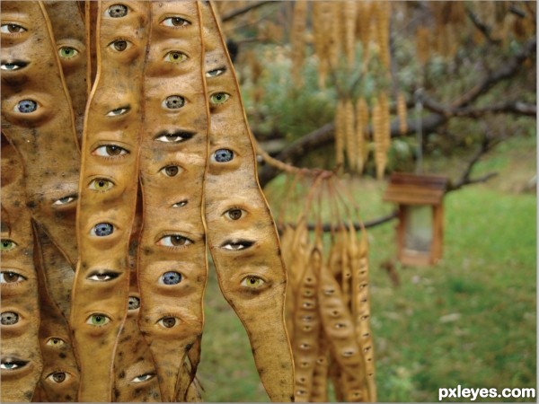 Creation of Eye Pods: Step 3