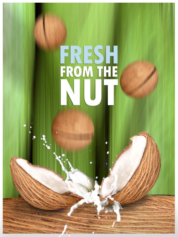 Creation of Fresh from the nut: Final Result
