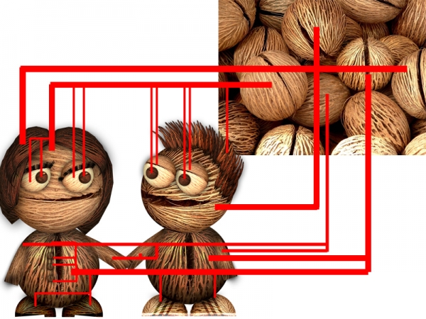 Creation of Love Nuts ;): Step 1